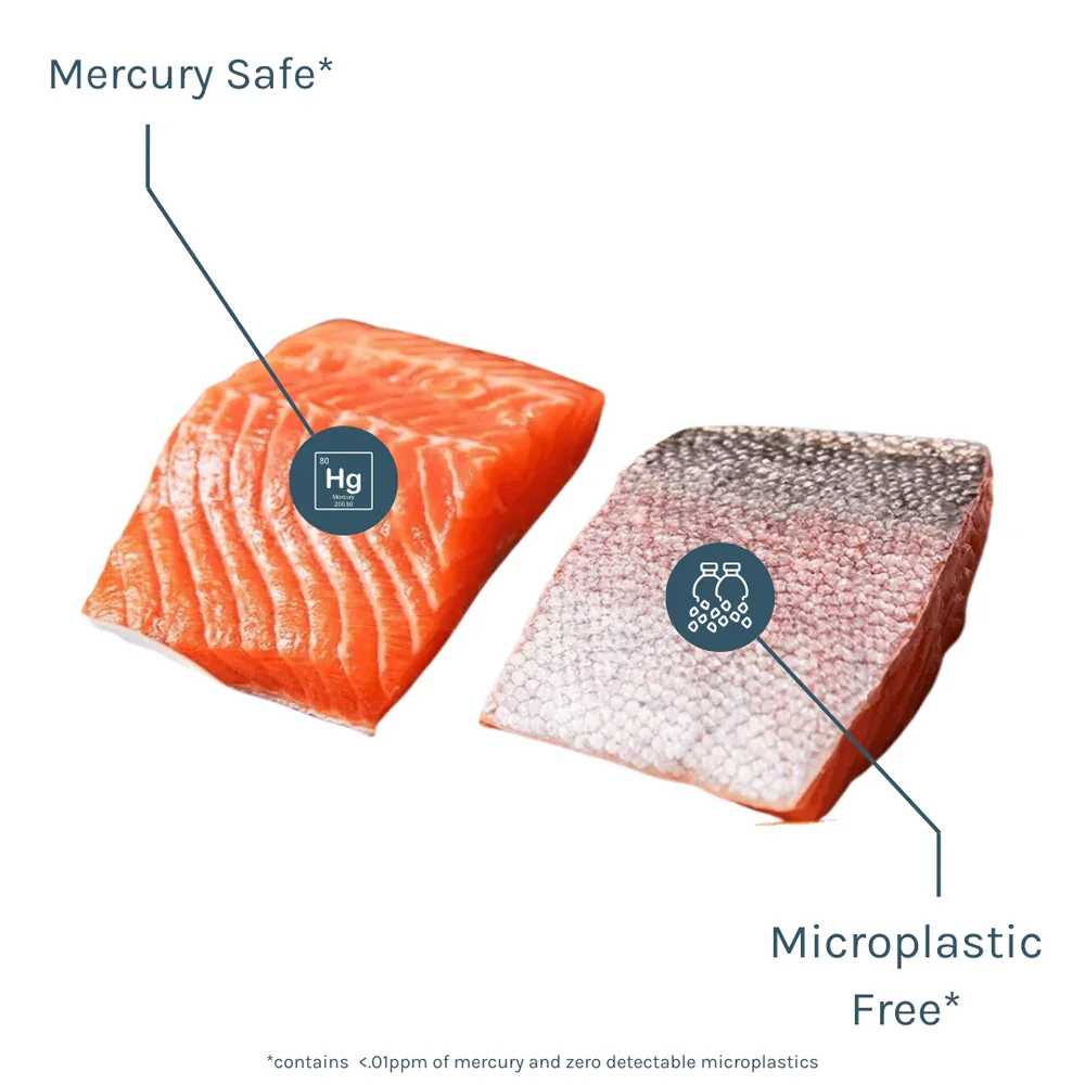 steelhead-6oz-filets-924785.png.webp