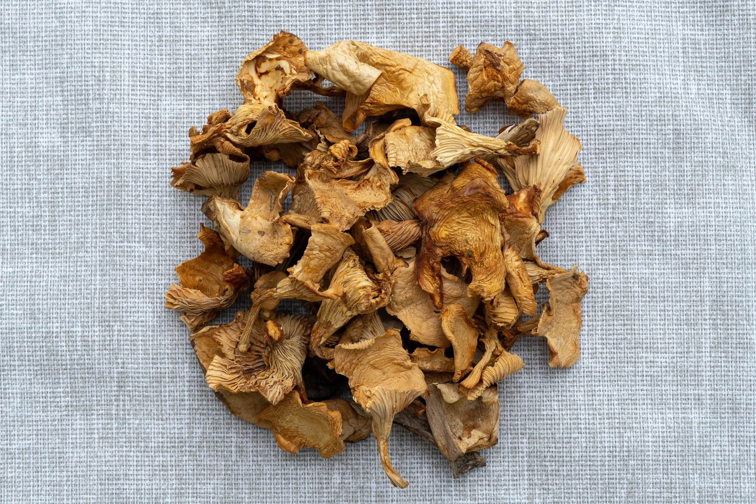 dried_chanterelle1_web.jpg.webp