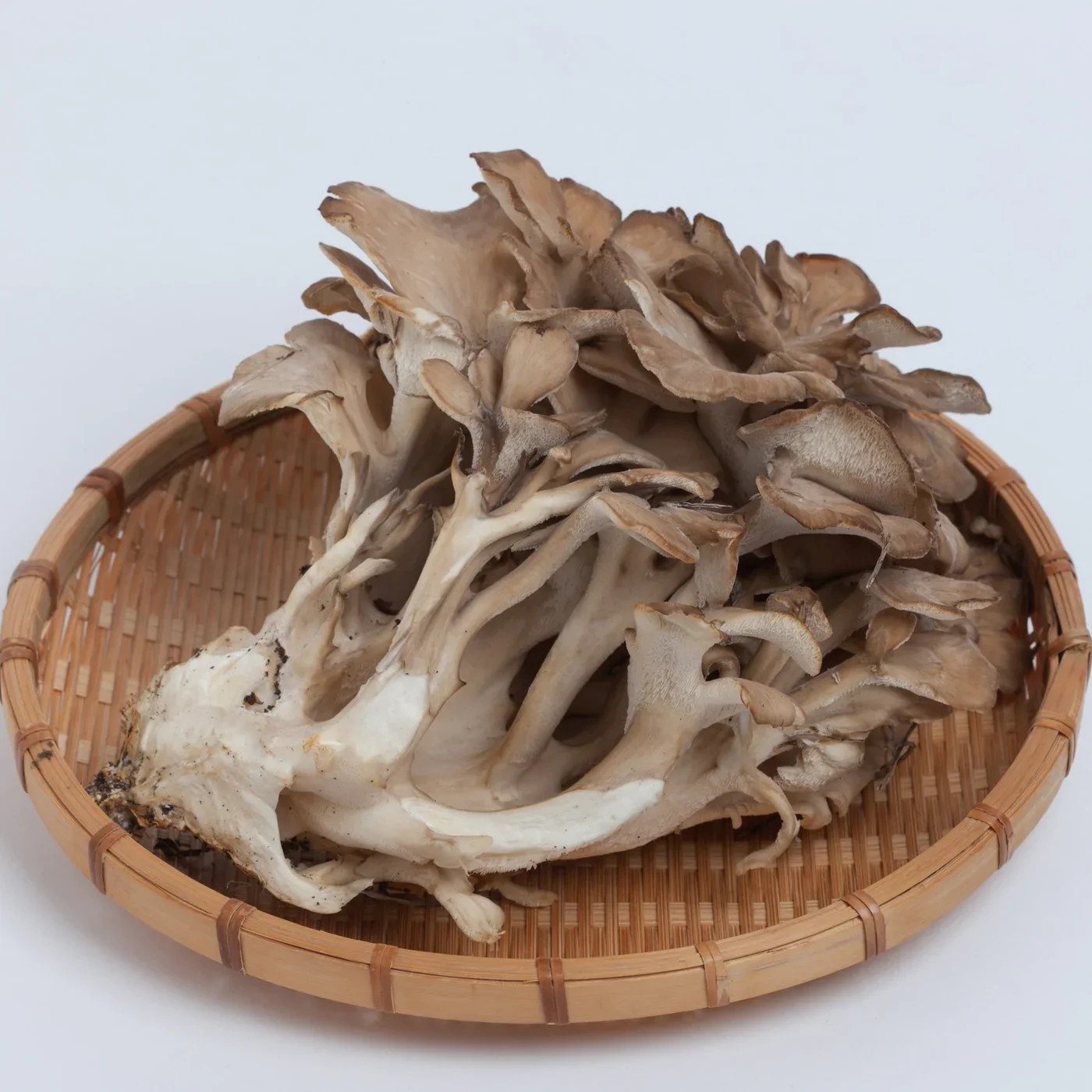 maitake-cropped-square_e7e55156-c612-4dee-b0af-77743b6e635b.jpg.webp