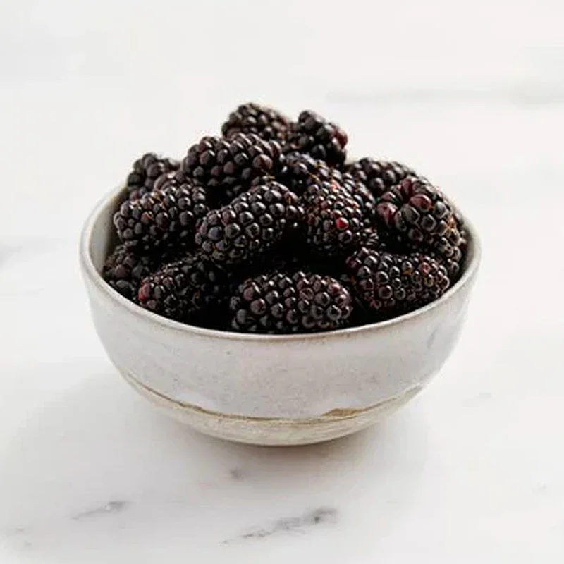 Marionberries.jpg.webp