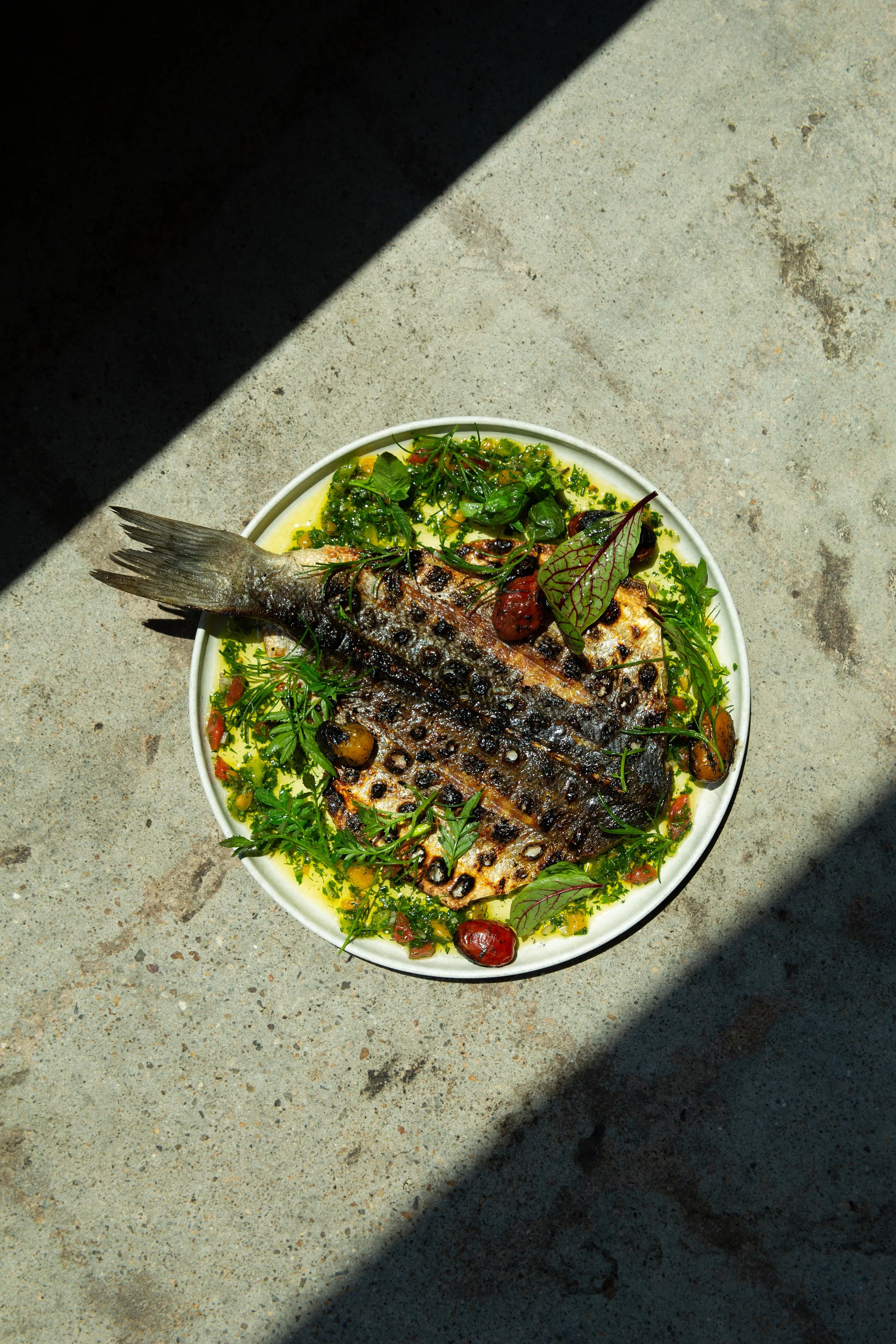 Fish x Tomato Dish 001.jpg