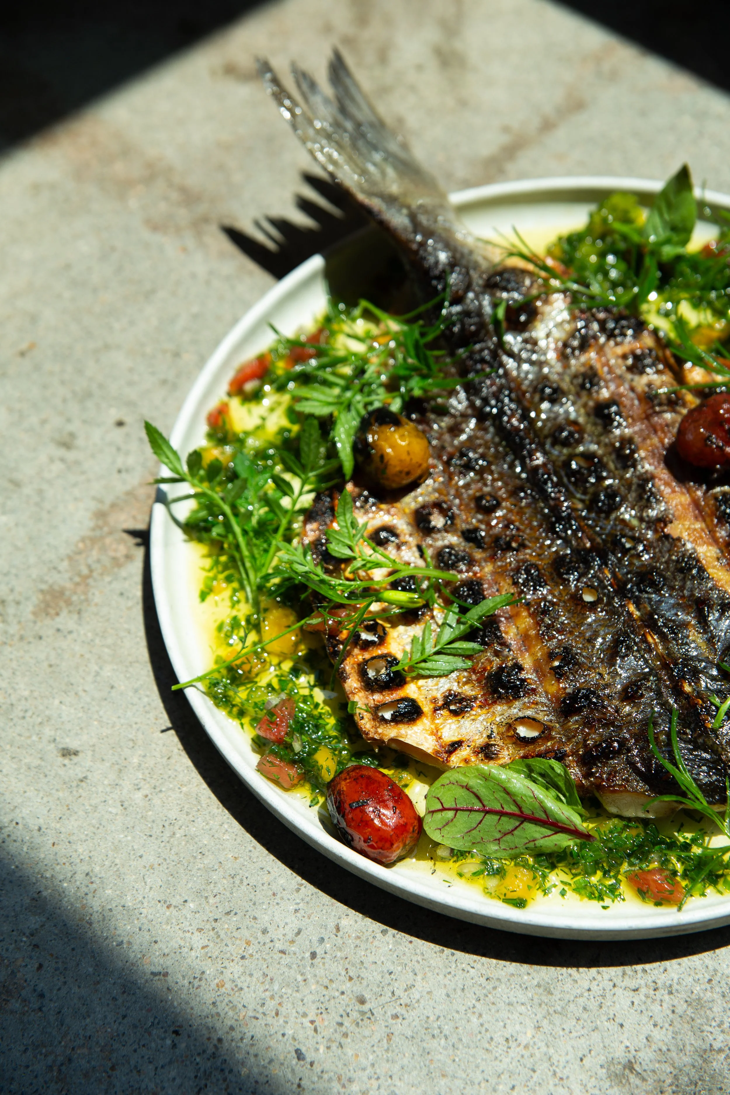 Fish x Tomato Dish 004.jpg