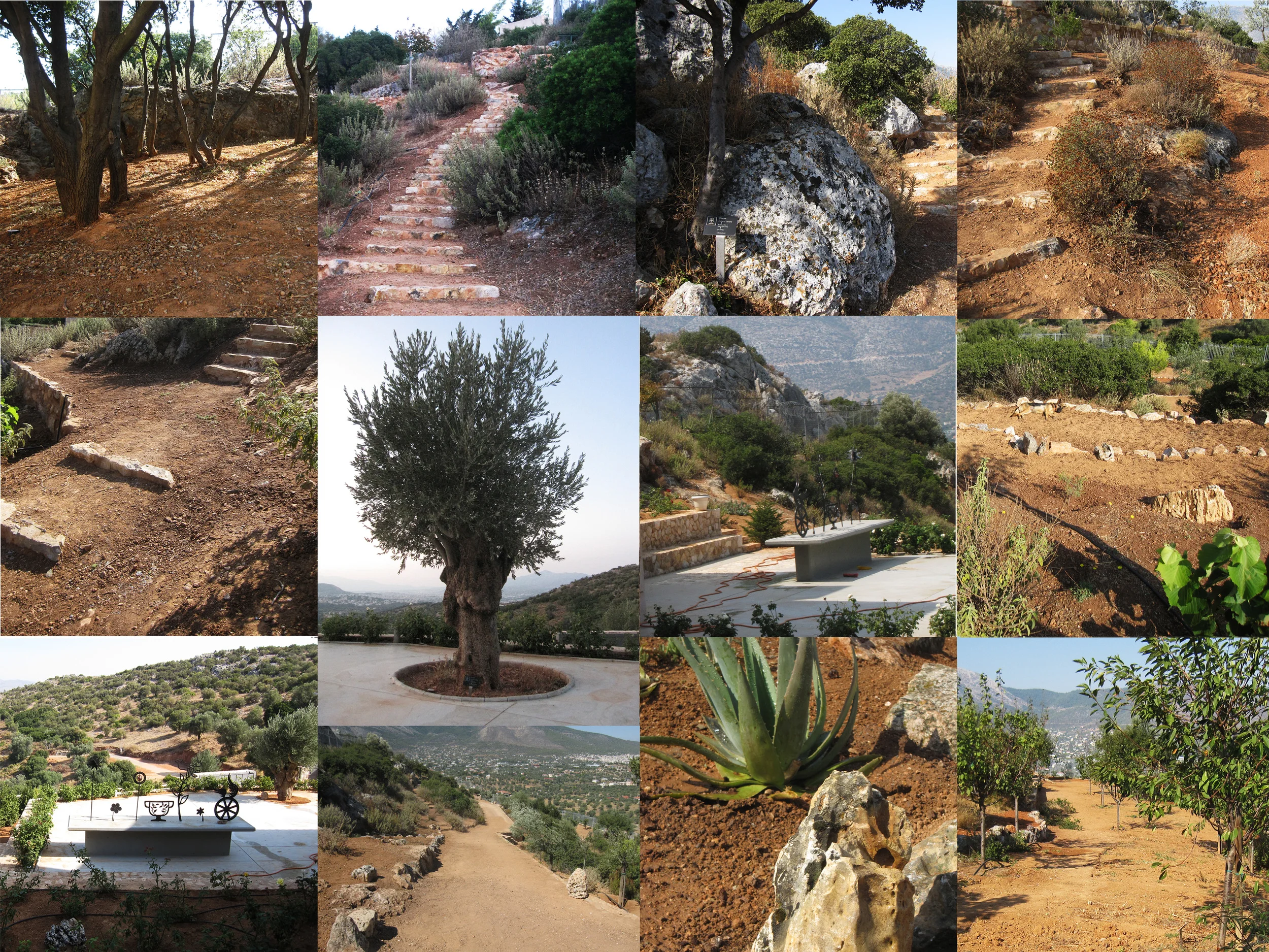   PAIANIA GARDEN  Client : &nbsp; &nbsp; &nbsp; &nbsp; &nbsp; &nbsp; &nbsp; &nbsp; &nbsp; &nbsp; &nbsp; &nbsp; &nbsp; &nbsp; &nbsp; &nbsp;private Budget: &nbsp; &nbsp; &nbsp; &nbsp; &nbsp; &nbsp; &nbsp; &nbsp; &nbsp; &nbsp; &nbsp; &nbsp; &nbsp; &nbsp