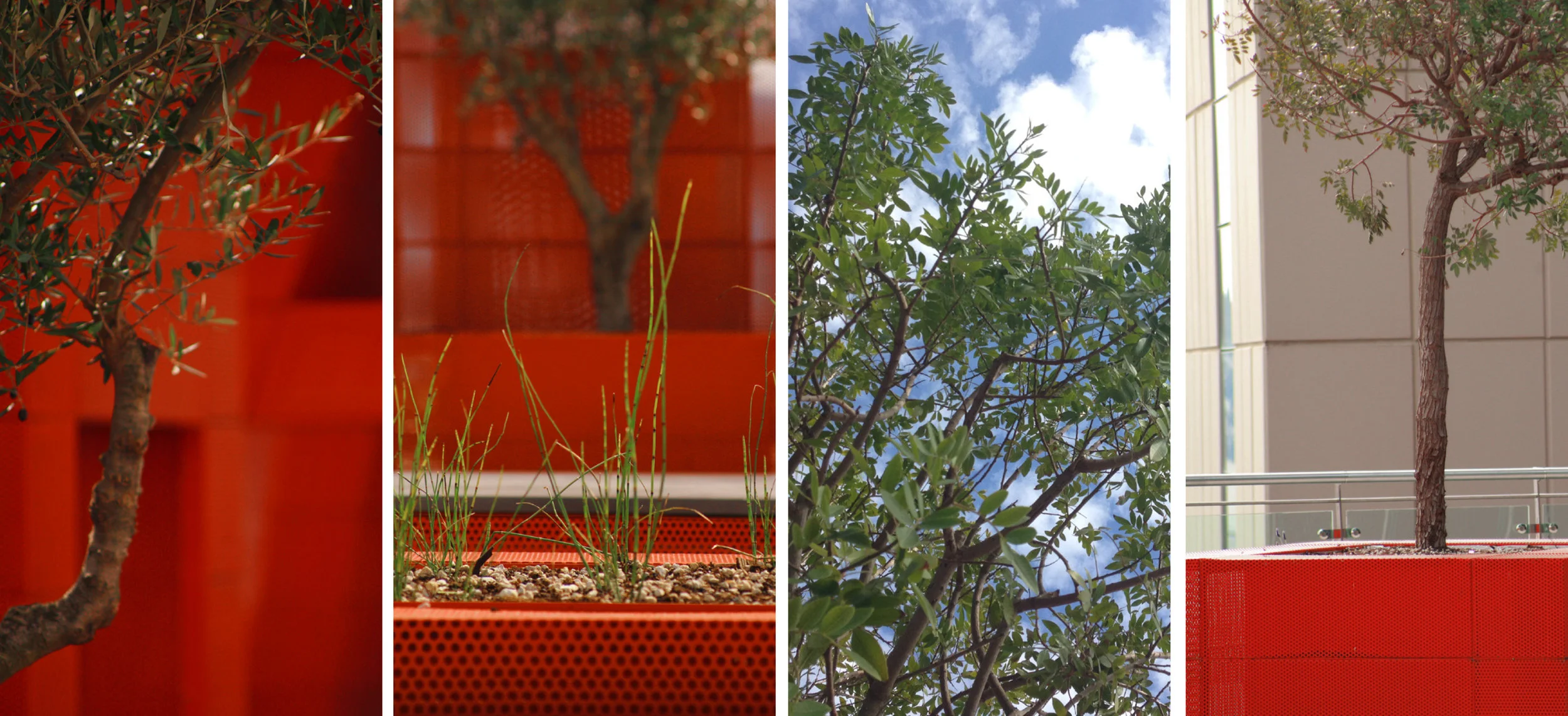 Letterscape_planting.jpg