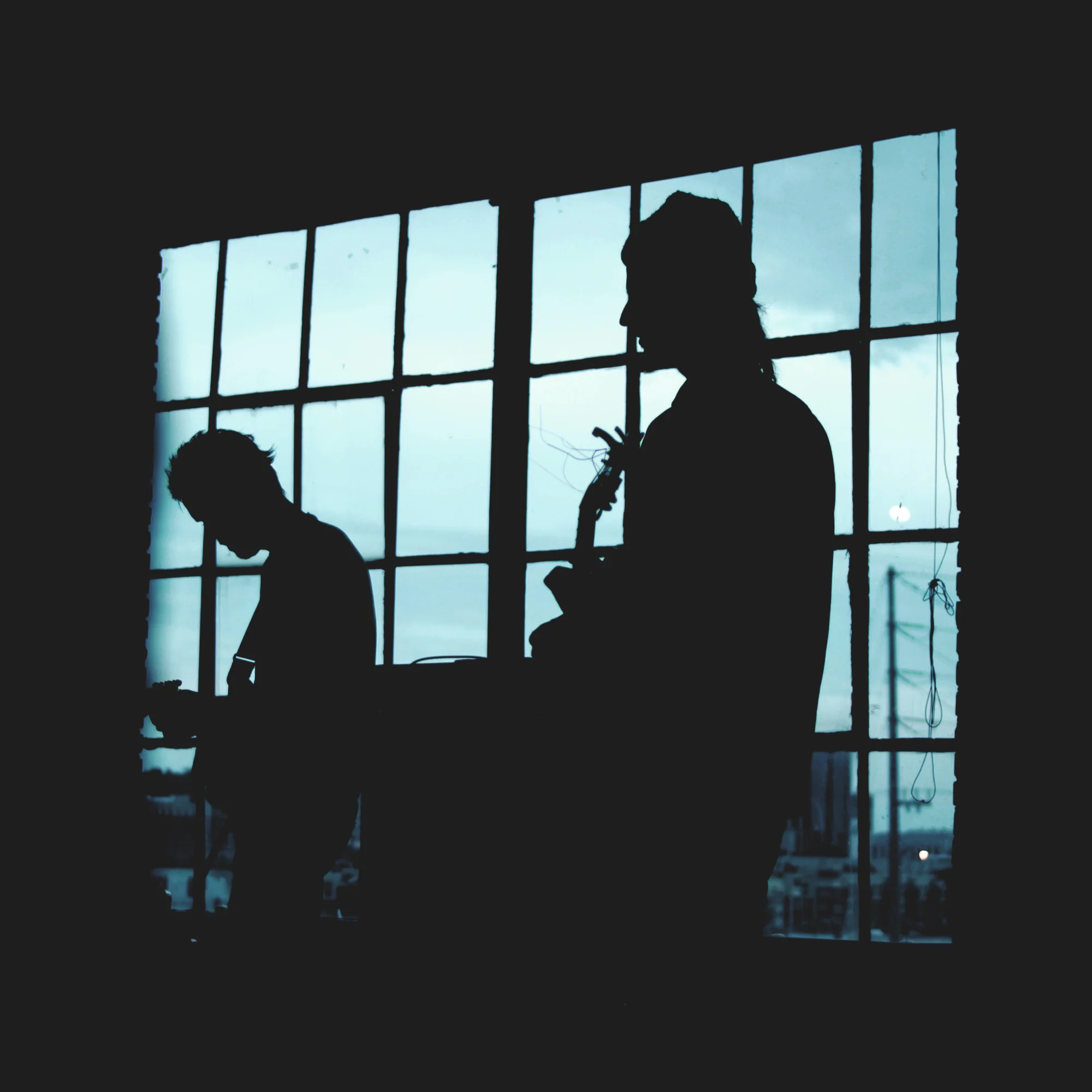 soil & sun insta.JPG