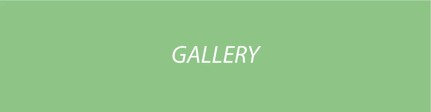 Gallery---2010.jpg