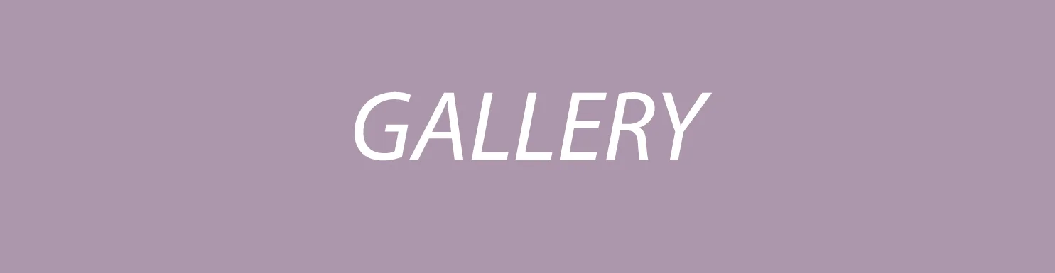 GALLERY-2014.jpg
