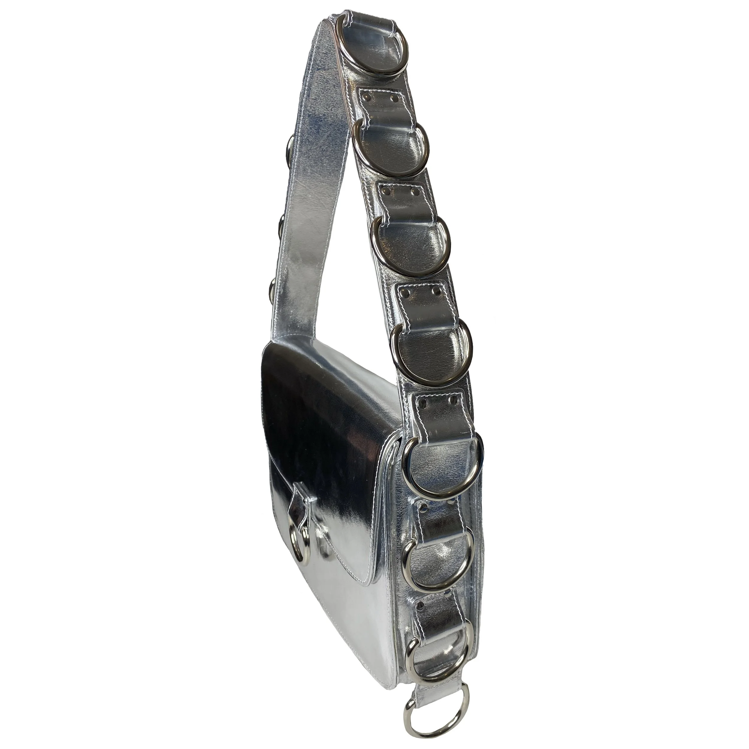 SILVER D-RING SIDE.JPG