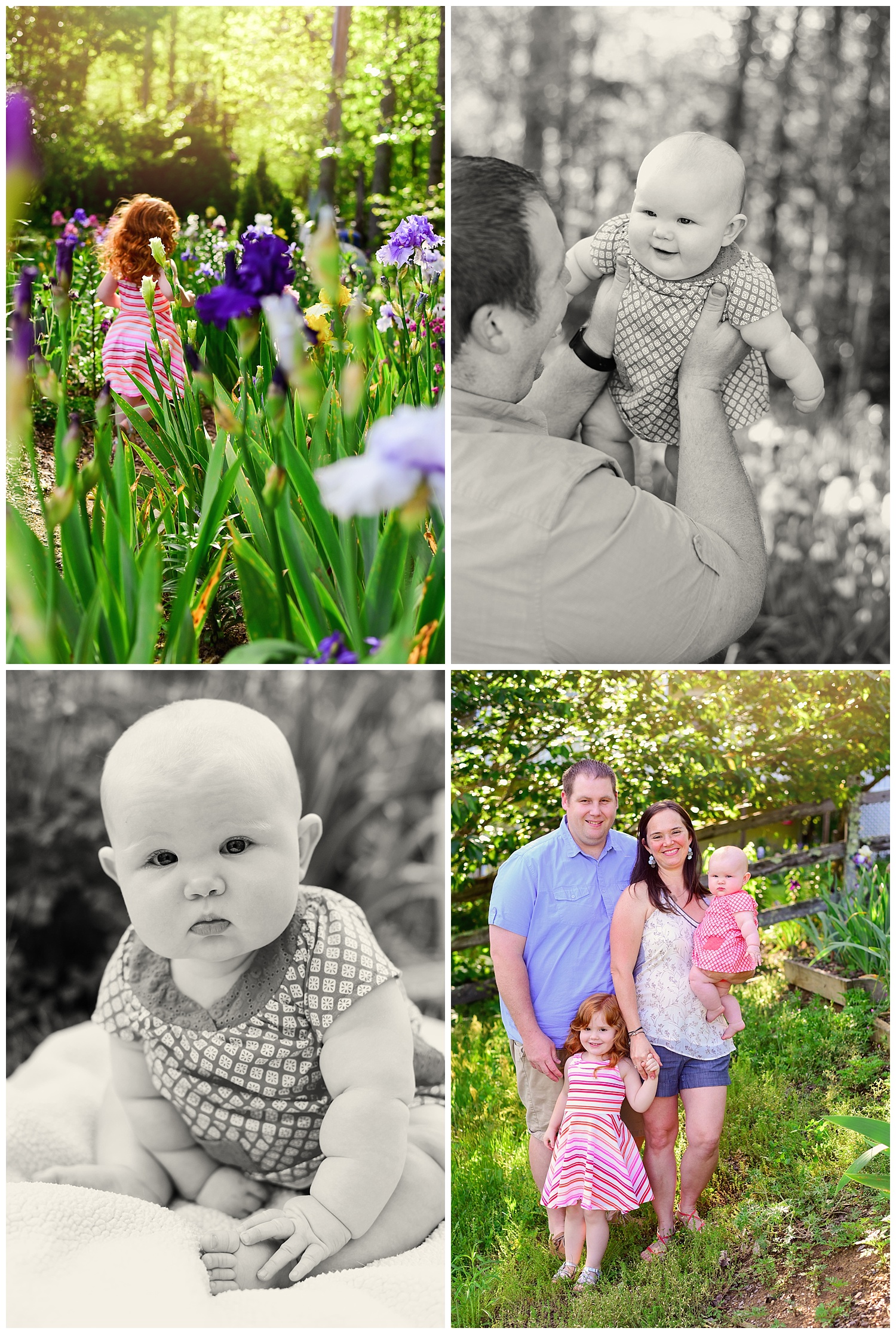 Family Portraits Jubilee Gardens