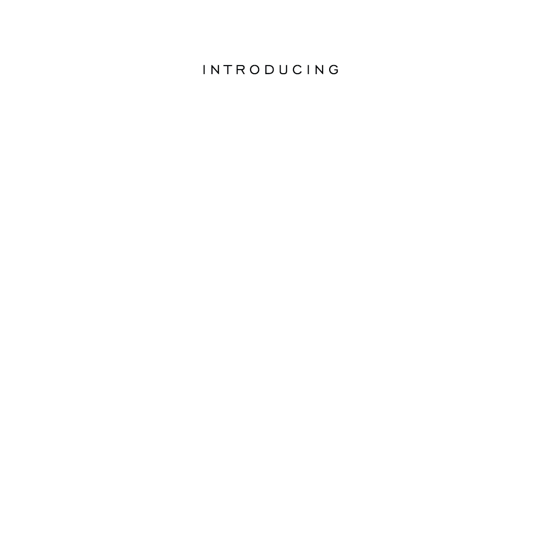 pg6_Influencer_4.gif