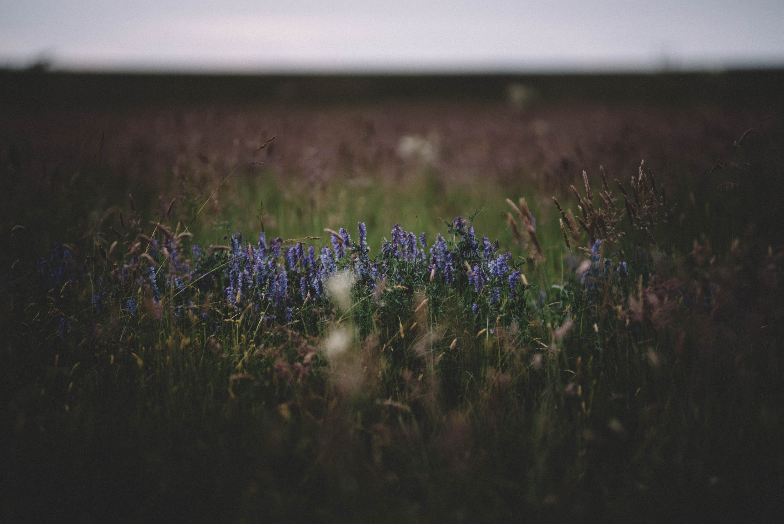 scouting-iceland-3.jpg