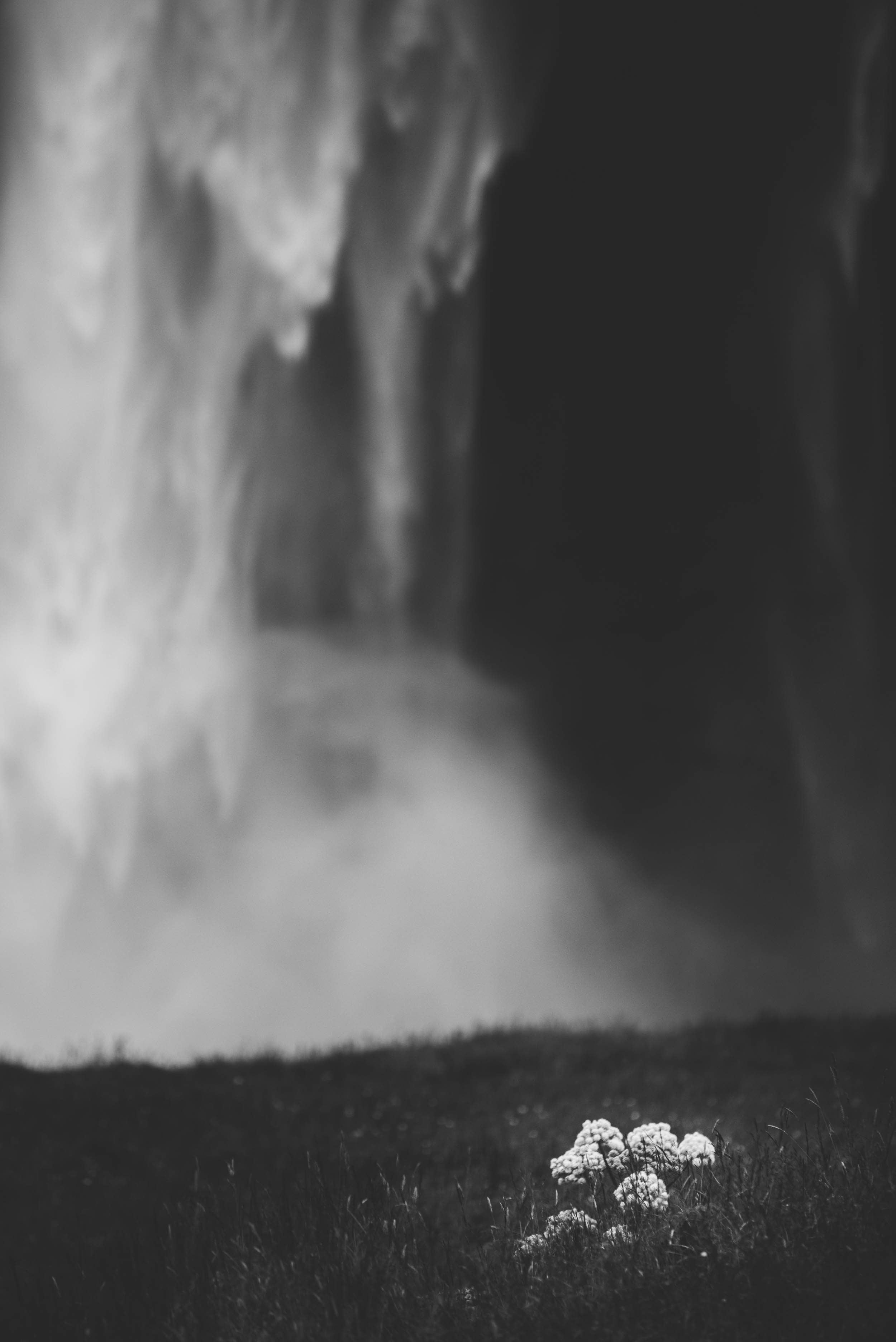 scouting-iceland-4.jpg
