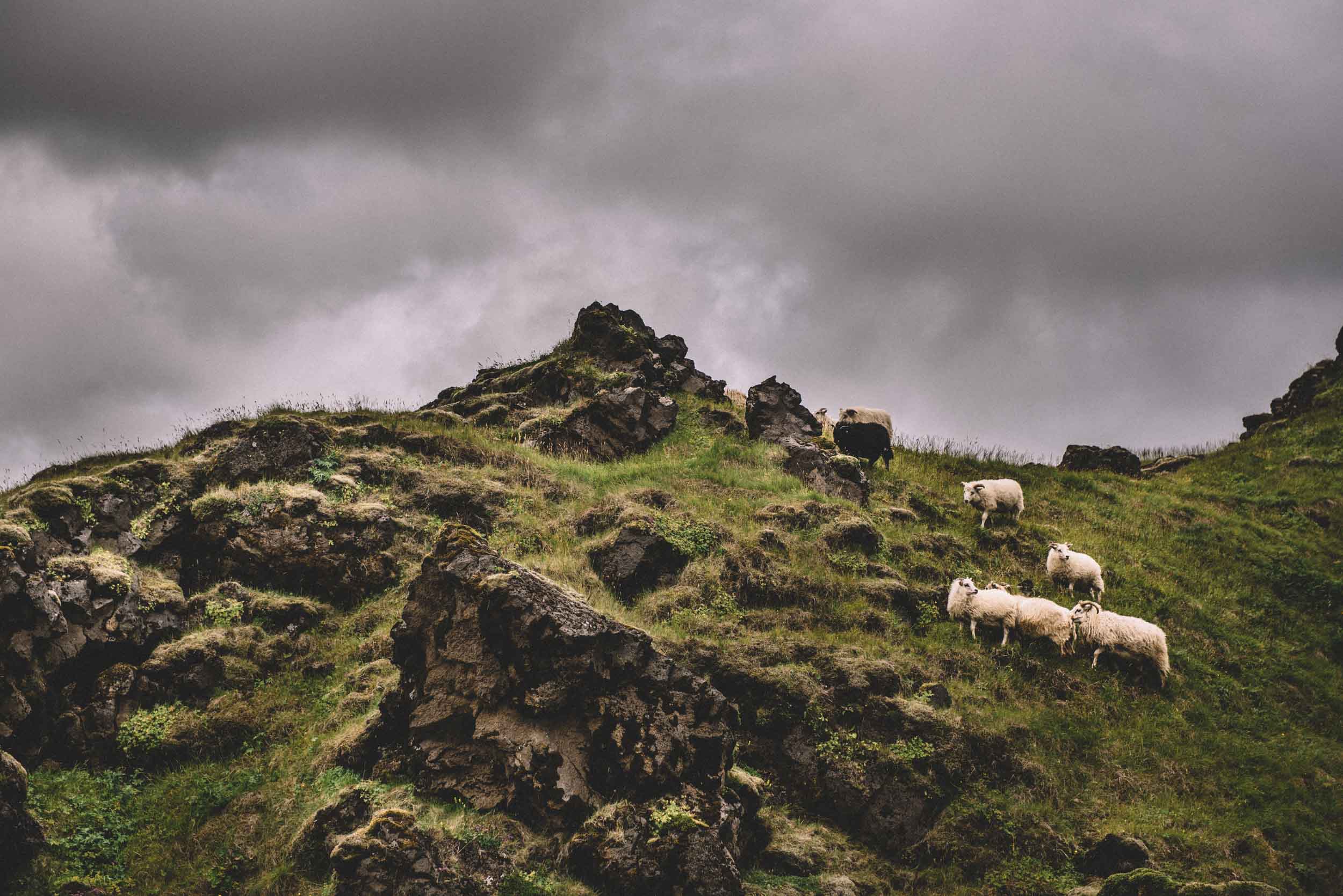 scouting-iceland-14.jpg