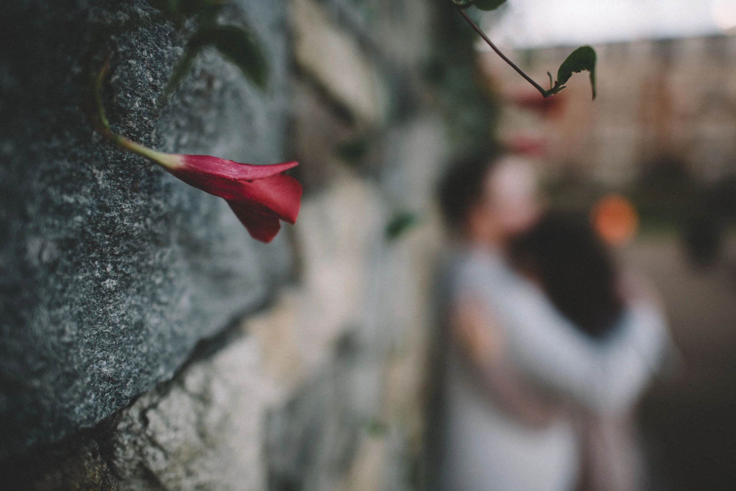 oldtown-alexandria-engagement-session-19.jpg