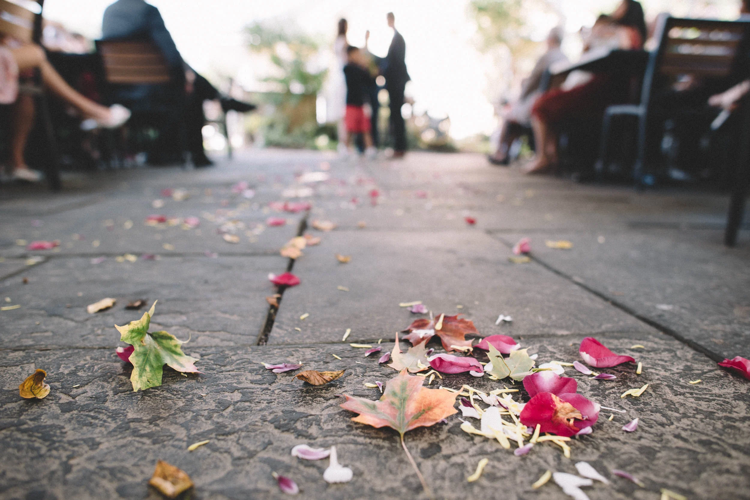 Purceville-Virginia-wedding-photographer -21.jpg