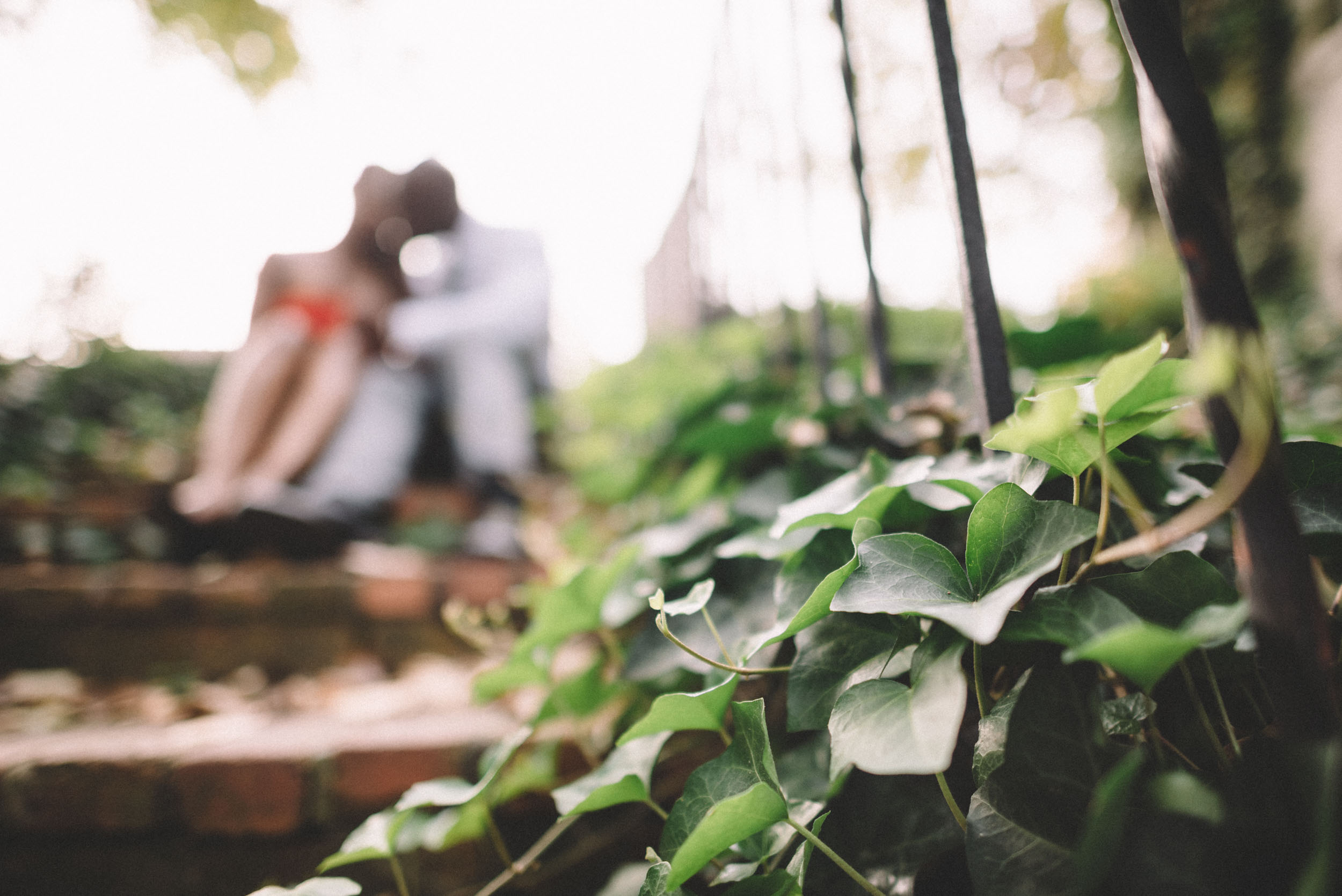 Georgetown Engagement Session