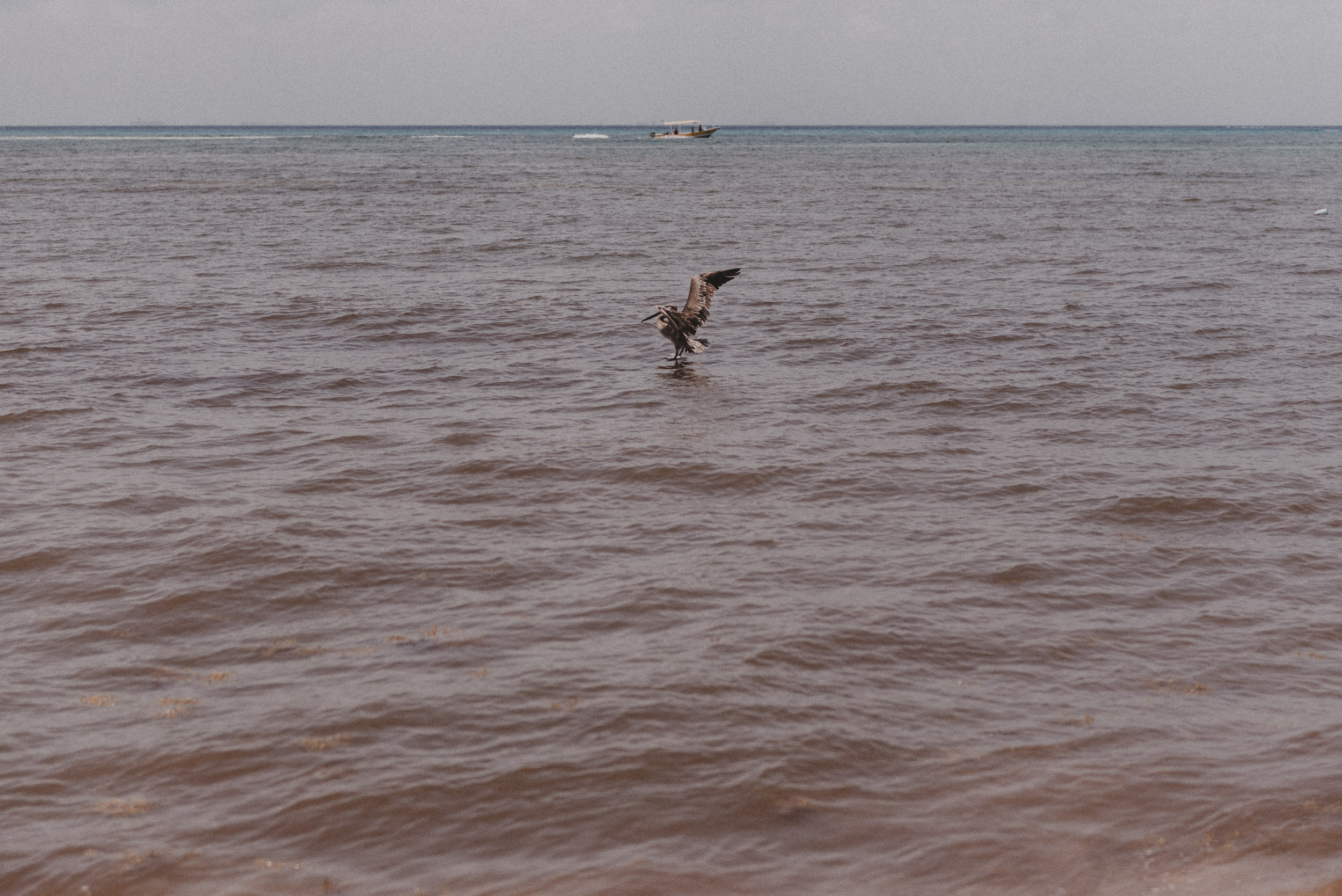Playa_del_Carmen_Mexico_engagement-36.jpg