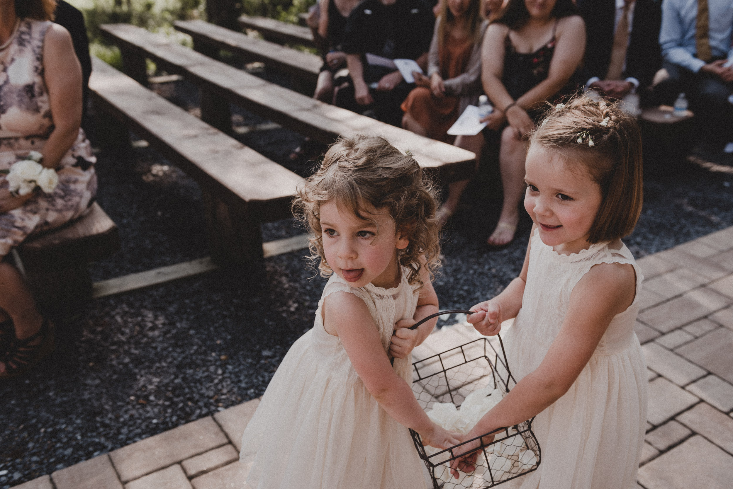 Shenandoah Woods Wedding