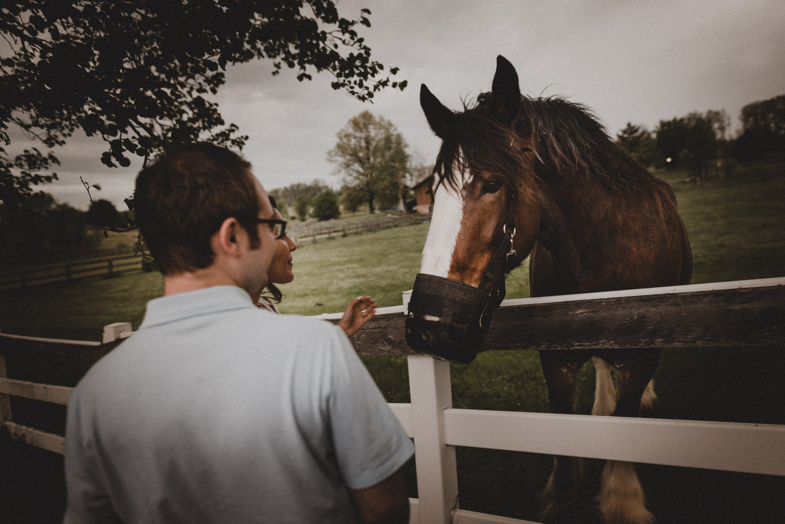 Serra Valley Farm Engagment-19.jpg