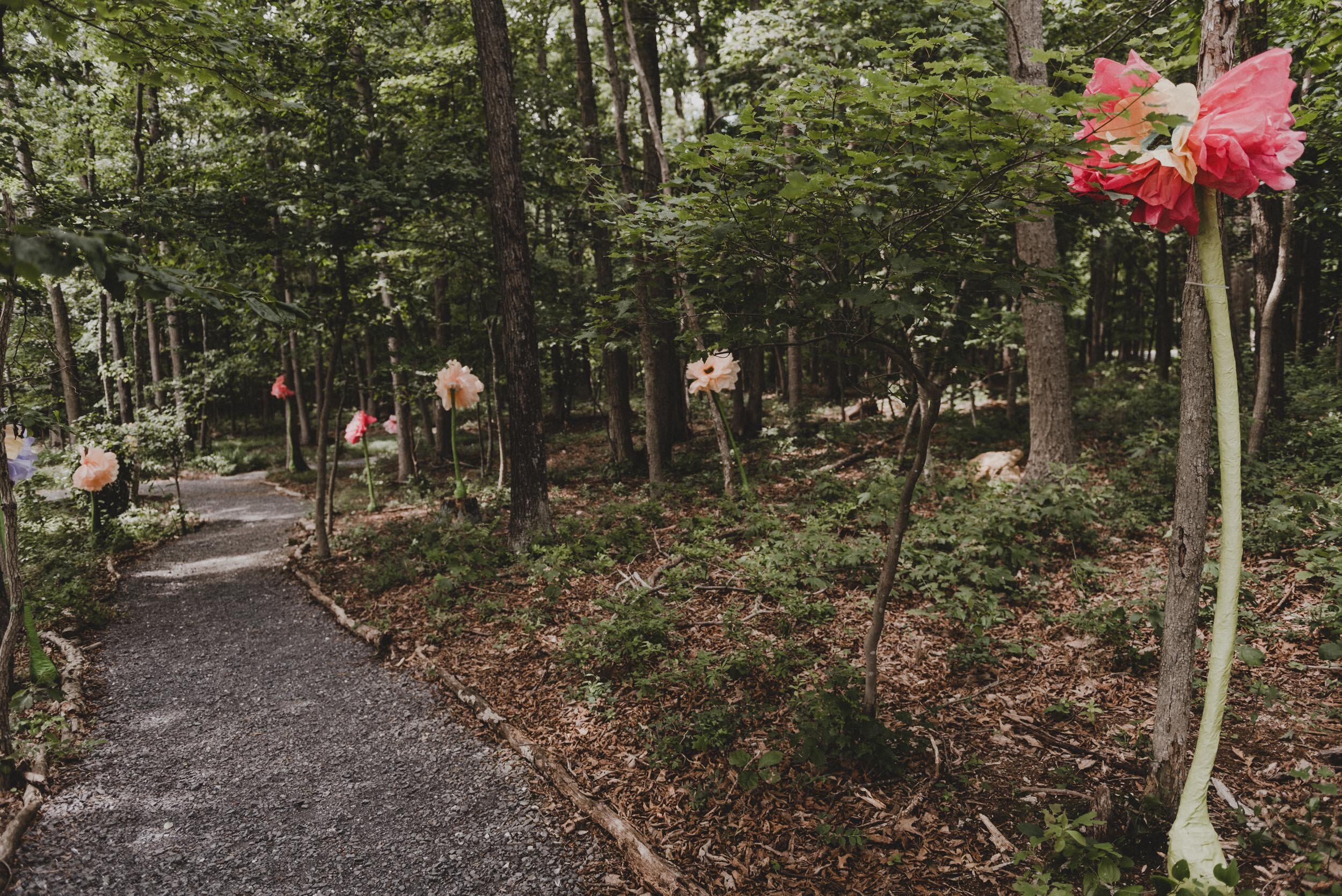 Shenandoah Woods Wedding-27.jpg