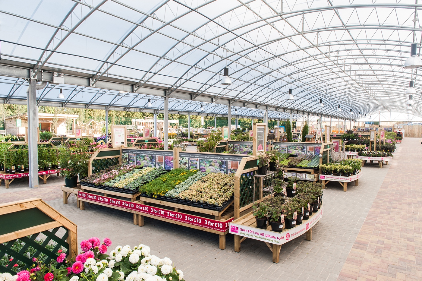 Dobbies-3711.jpg