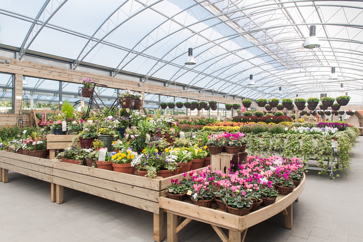 Dobbies-3717.jpg