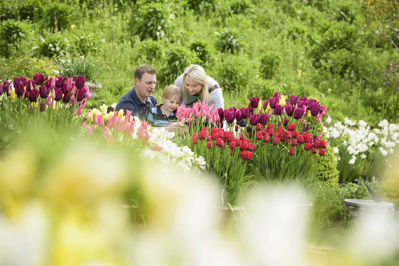 Visitors at RHS Harlow Carr Garden - ©RHS/Georgi Mabee