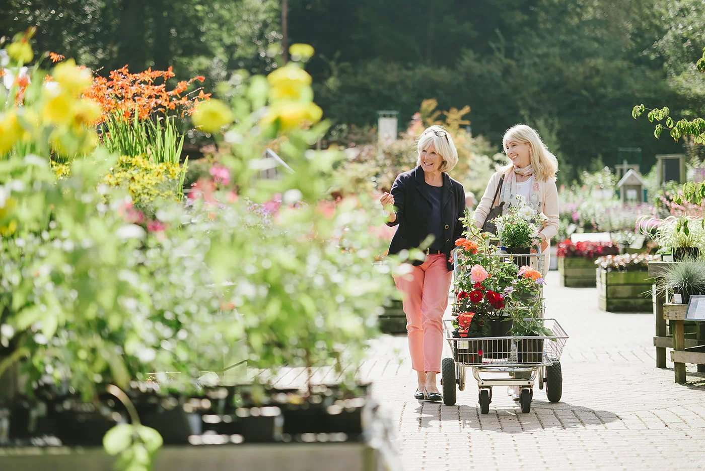 Shopping at Wisley Garden - ©RHS/Georgi Mabee