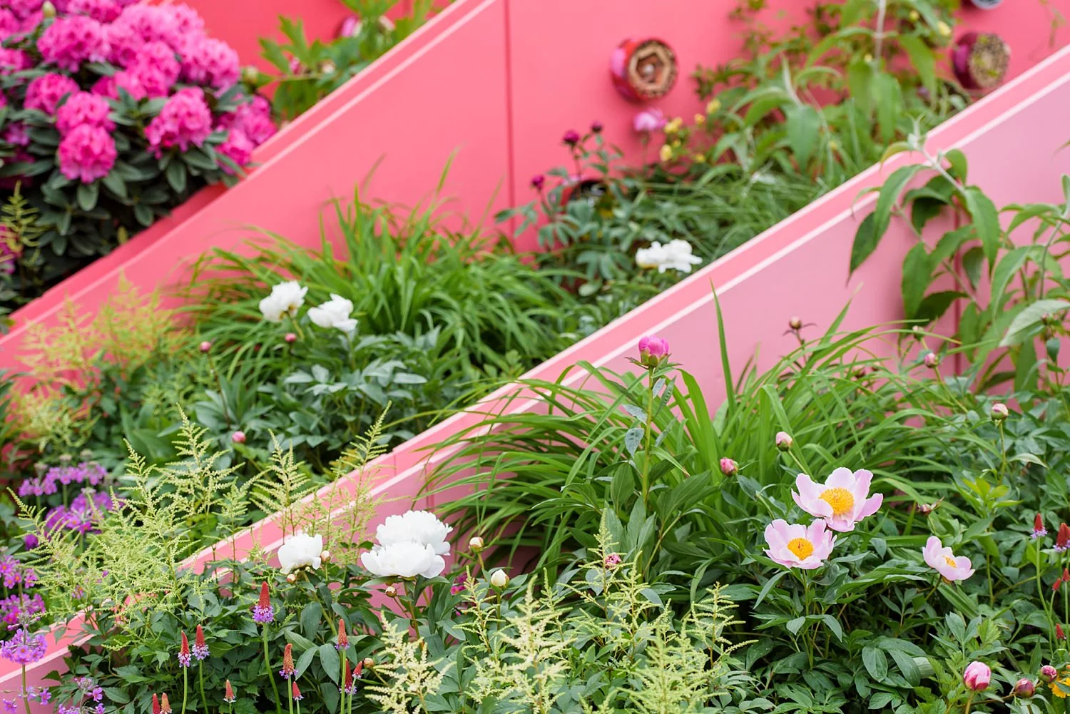 GMPGardens_0062.jpg
