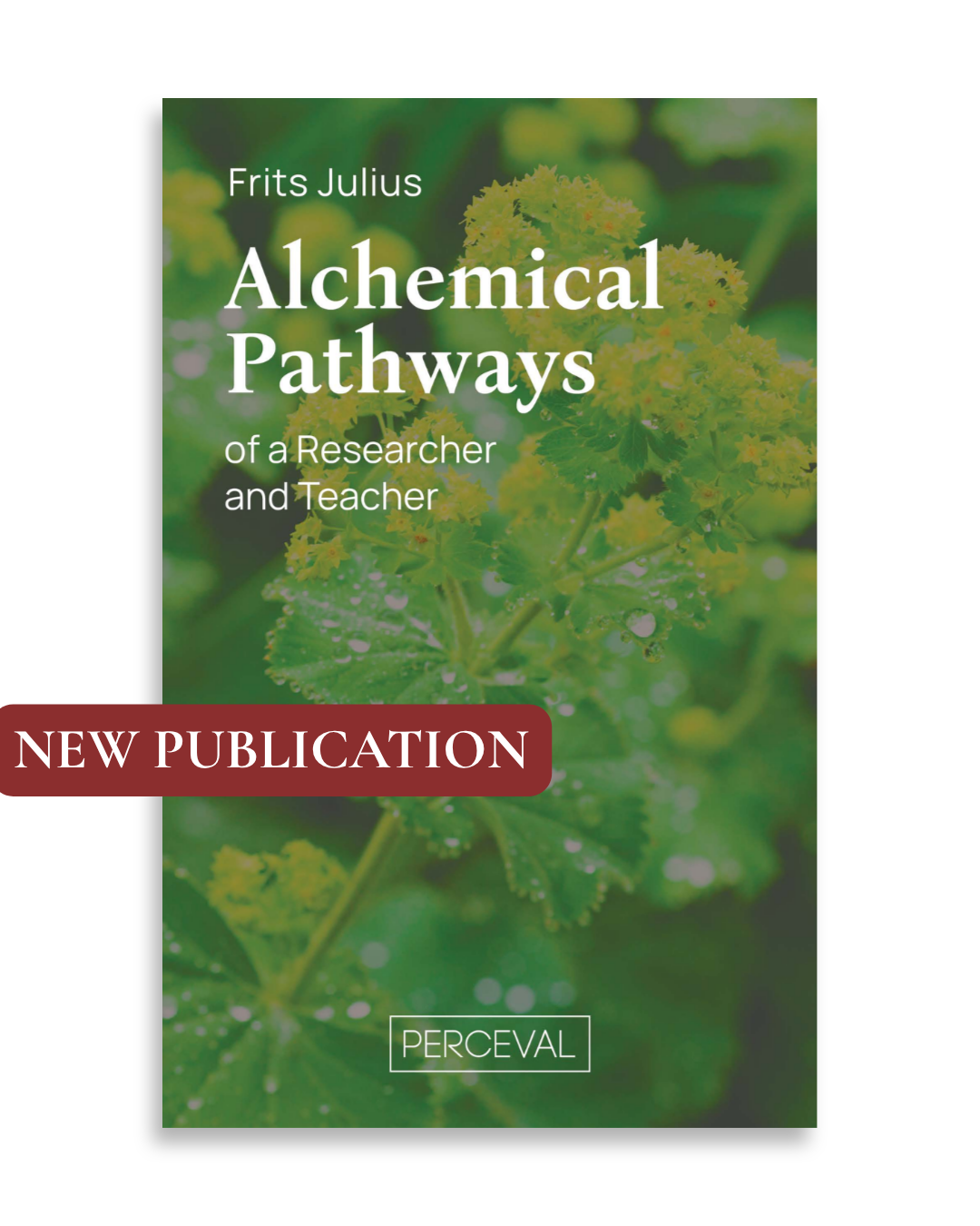 alchemical_pathways_newpublication_v2.png.png