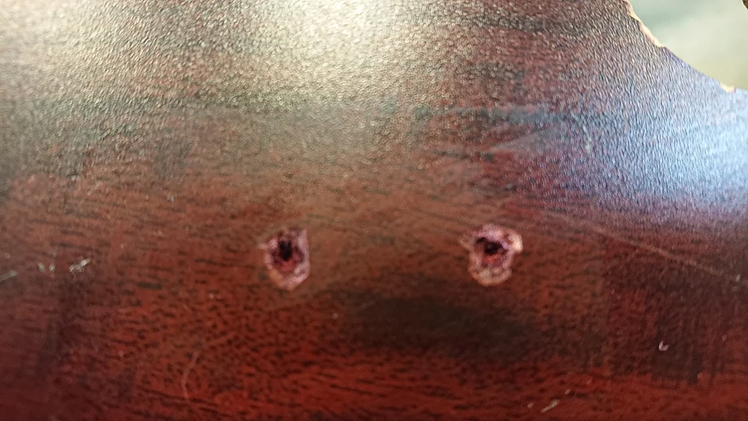Table3.jpg