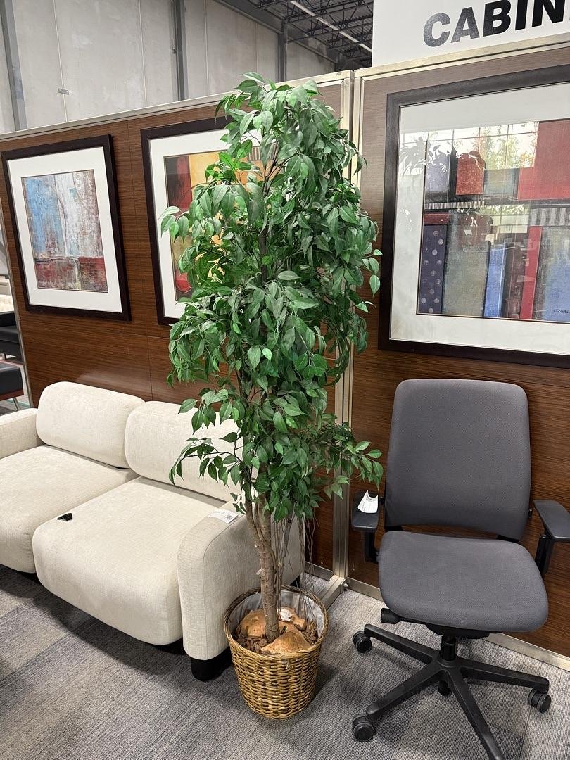 v2_zvsb05HEADwZx4AGUiD9yZiOSadi-nKx7YIkeKOxVMTWgIFPVdM9hg==