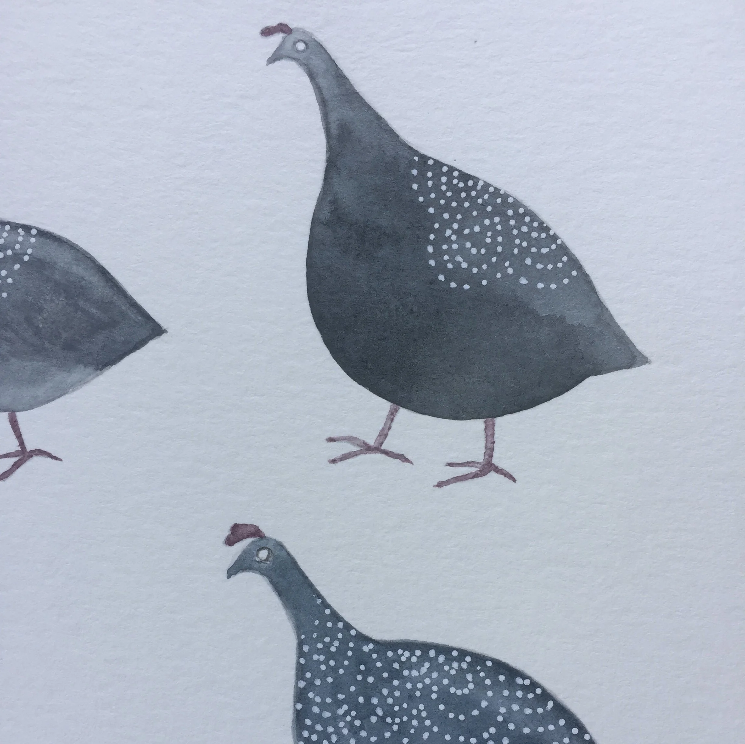 guinea hens detail.JPG