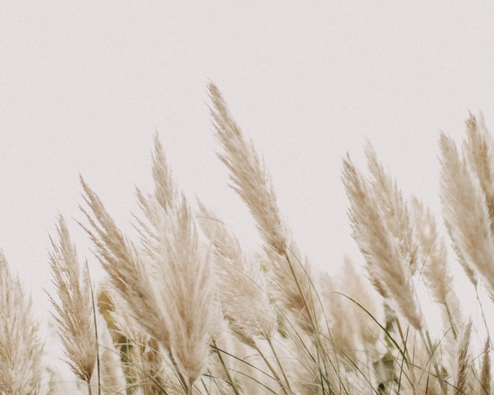 unsplash-image-9mn4cCxprHs.jpg