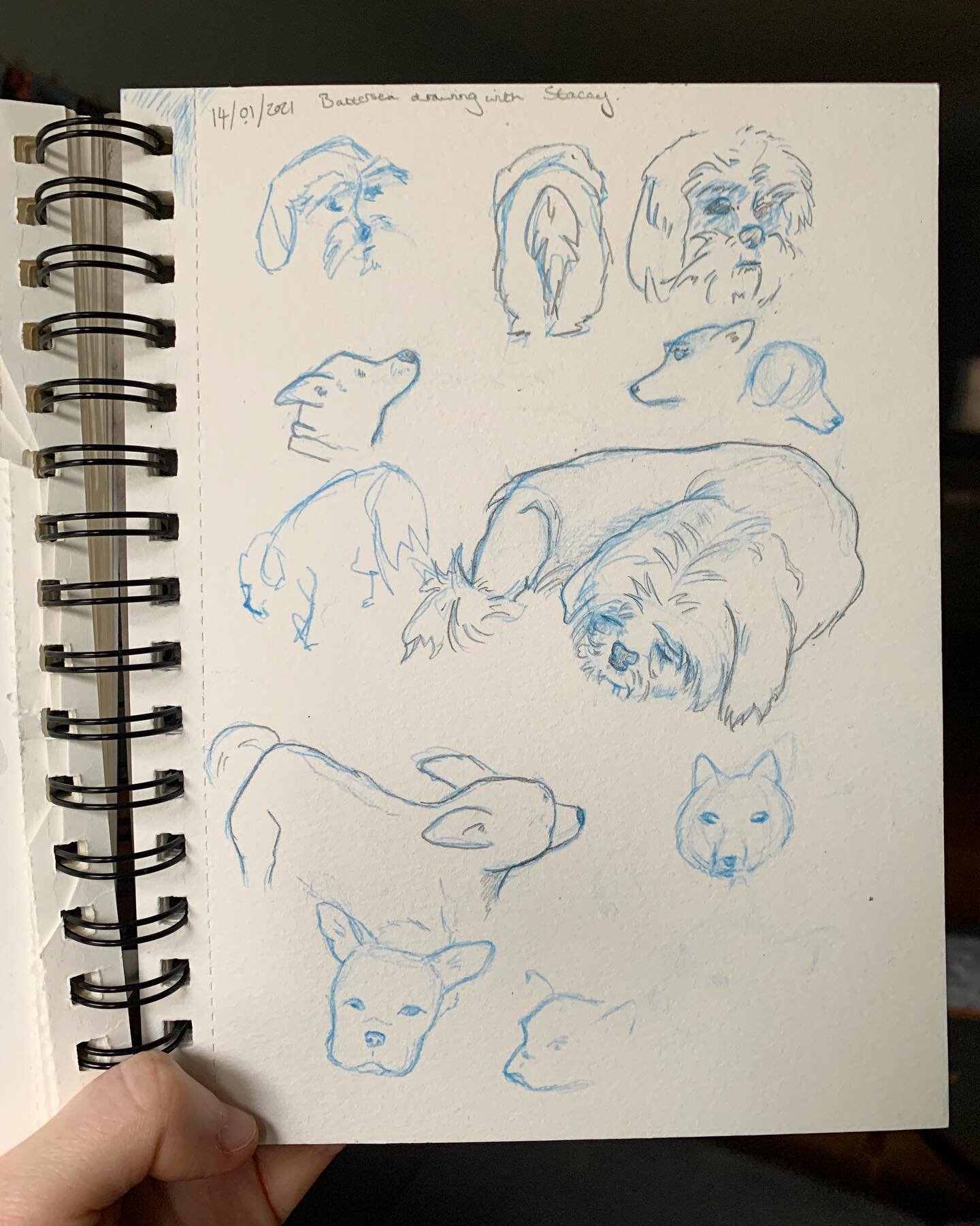 Last week I did a little virtual life drawing session organised by Wild Life Drawings with Battersea ✨ honestly was such a lovely time to spend Valentines and it had been too long since I did any drawing from life
&bull;
#art #sketch #sketchbook #lif