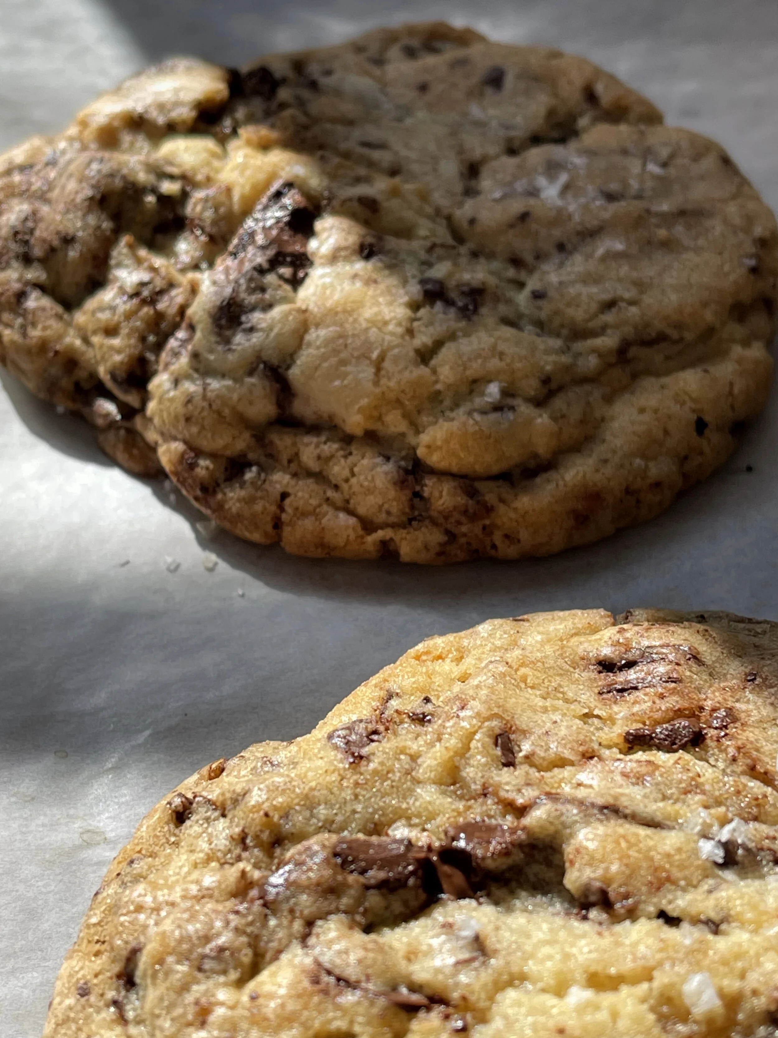 37.Elm_ChocolateChunk_2.jpg