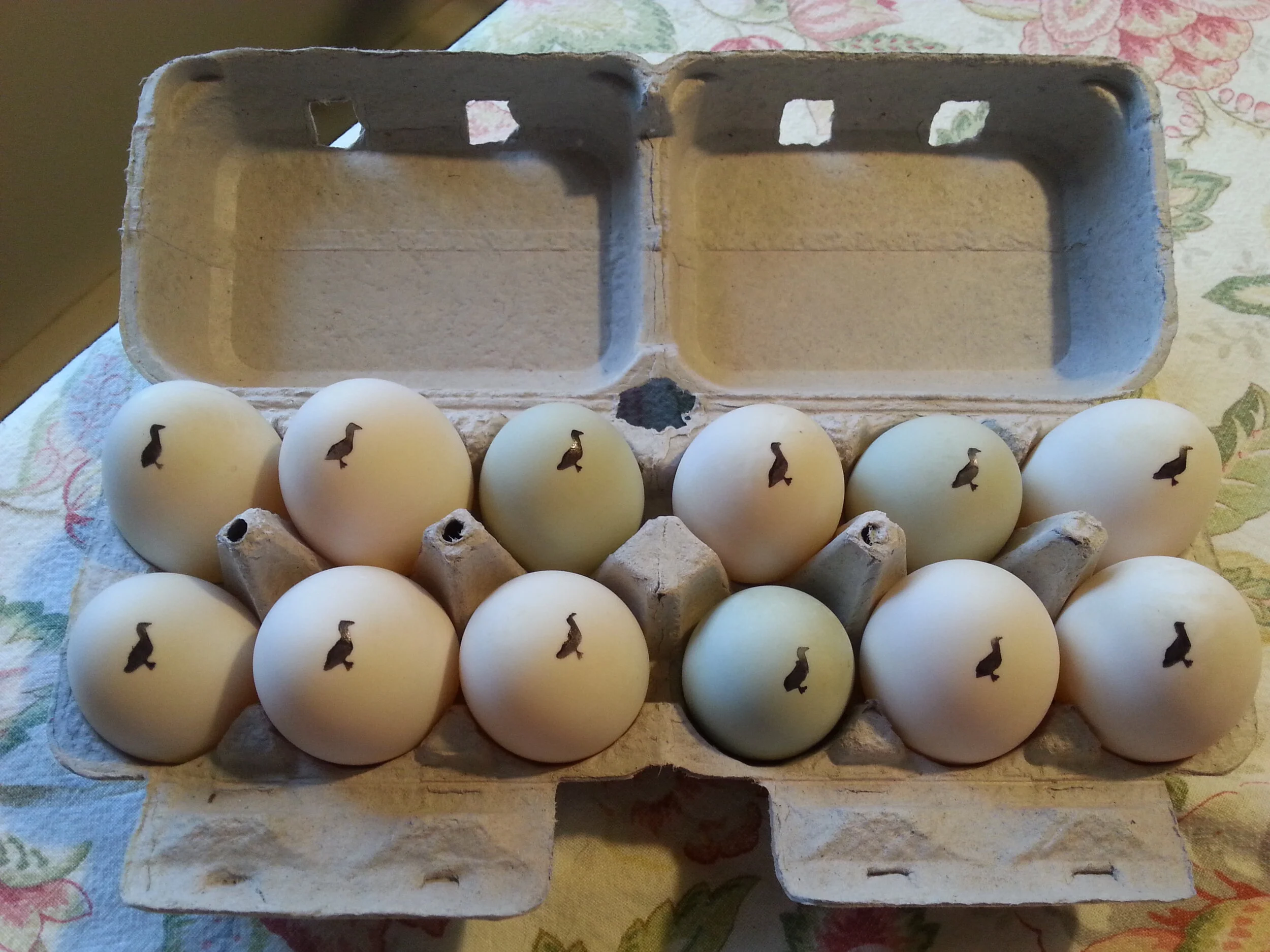 ElsewhereFarms-DuckEggs1.jpeg