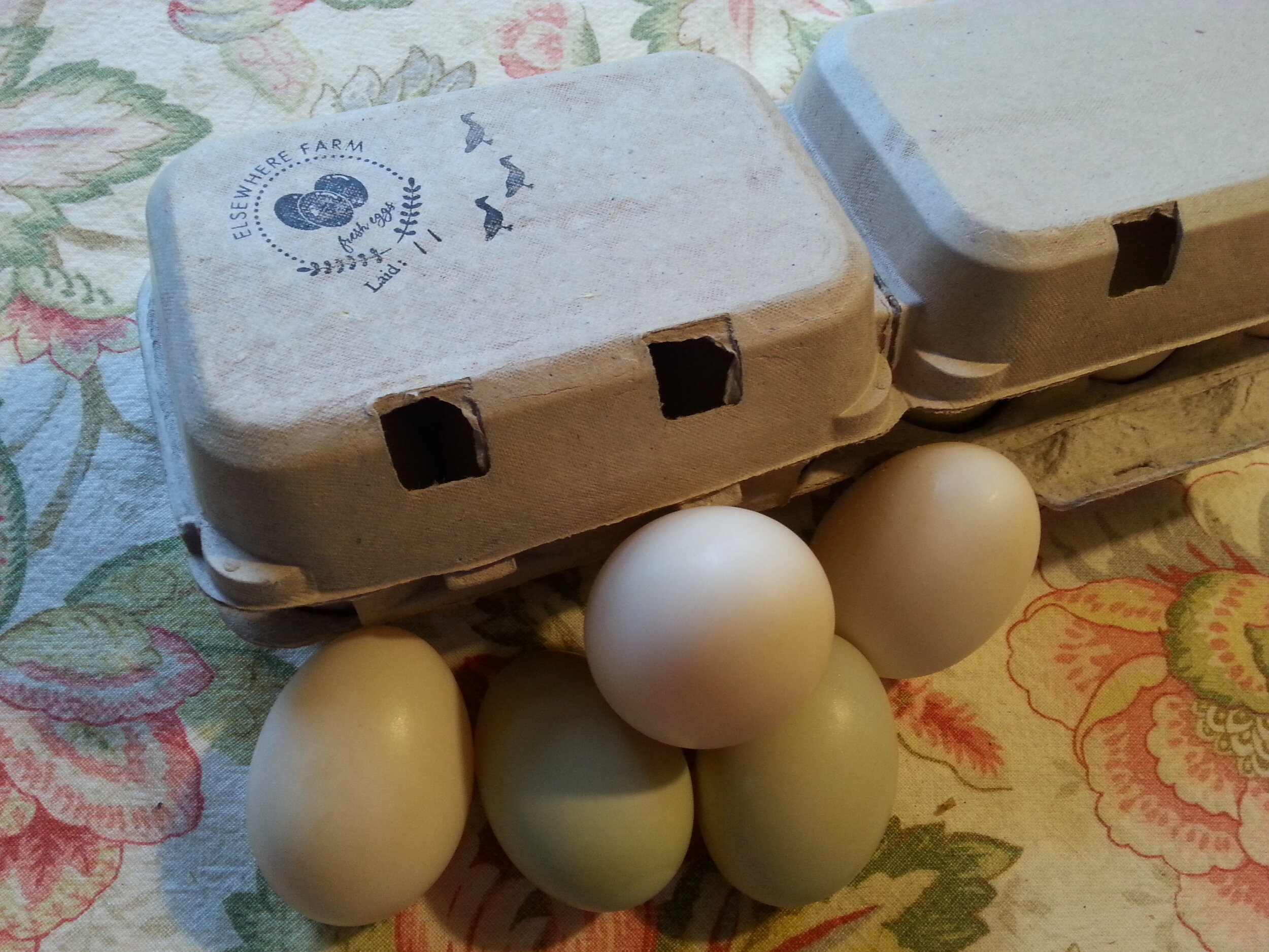 ElsewhereFarms-DuckEggs2.jpeg