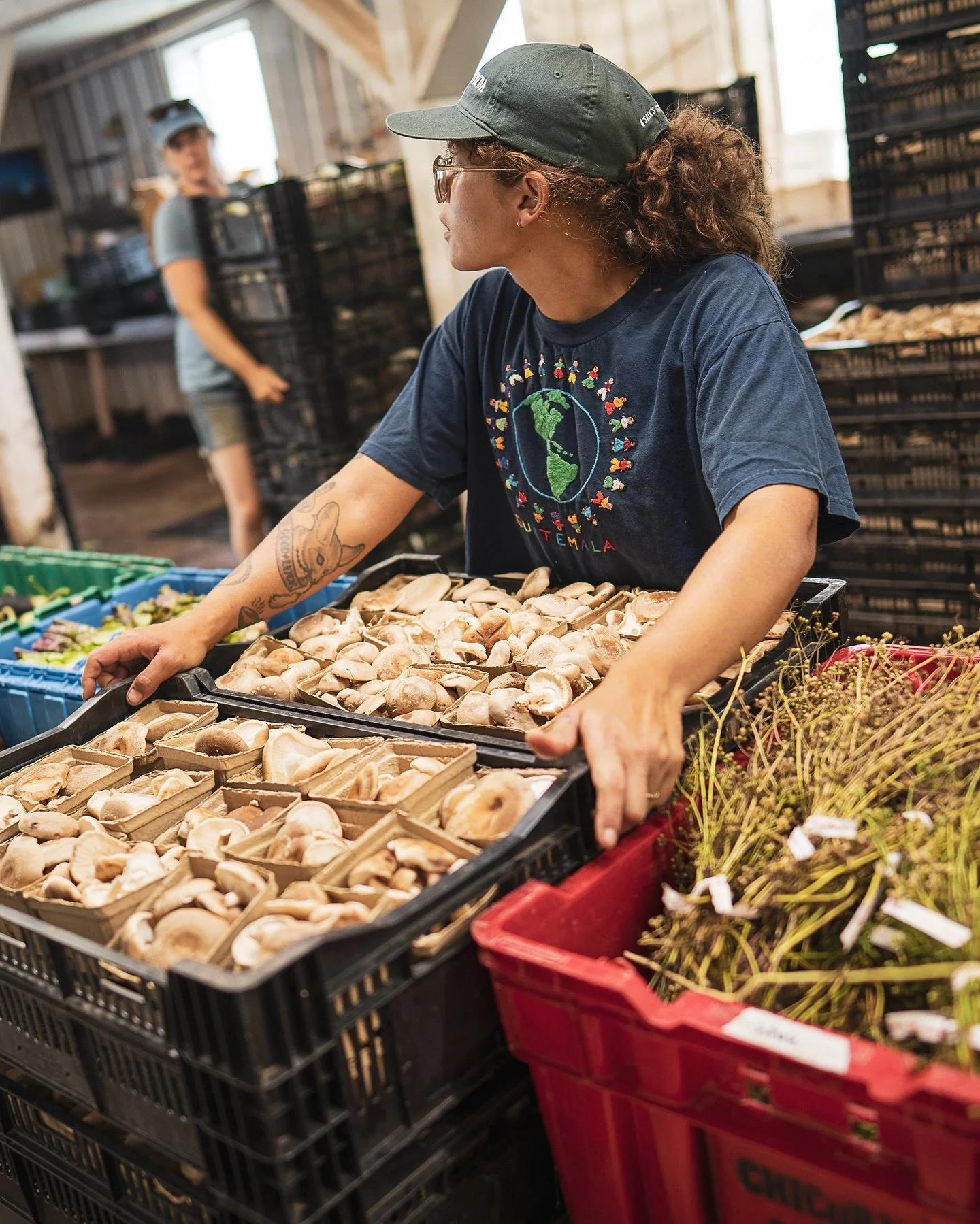 Now is the time to sign up for your FALL SHARES! (If you haven&rsquo;t already!) Be a part of our 10th Anniversary Fall CSA season!

We can now accept SNAP/EBT benefits!

Fall shares begin September 9 and run through November 25. 

🥕 Flexible paymen