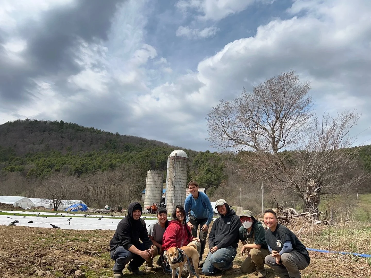 Hello from Star Route! There are only three weeks left until our 10th Anniversary Summer season begins! Sign up by May 21 to start receiving delicious veggies (and lots more) on June 3. We need about 200 more folks to join to make it all work. We esp