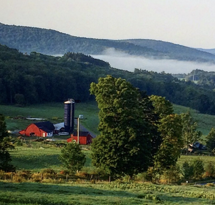 Evans &amp; Evans Farm