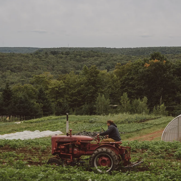 Somewhere in Time Farm