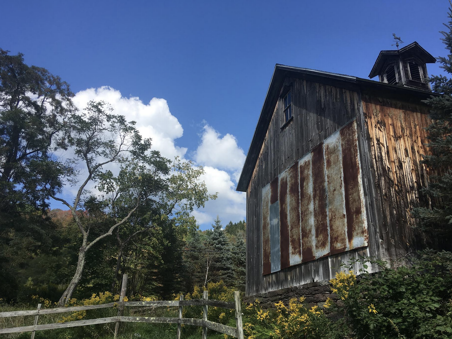 Opdyke Family Farm