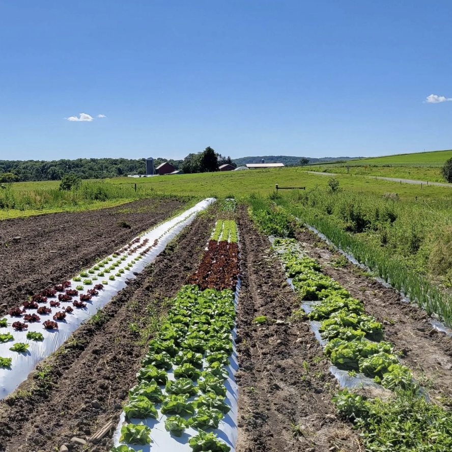 Mohawk Valley Growers Co-op
