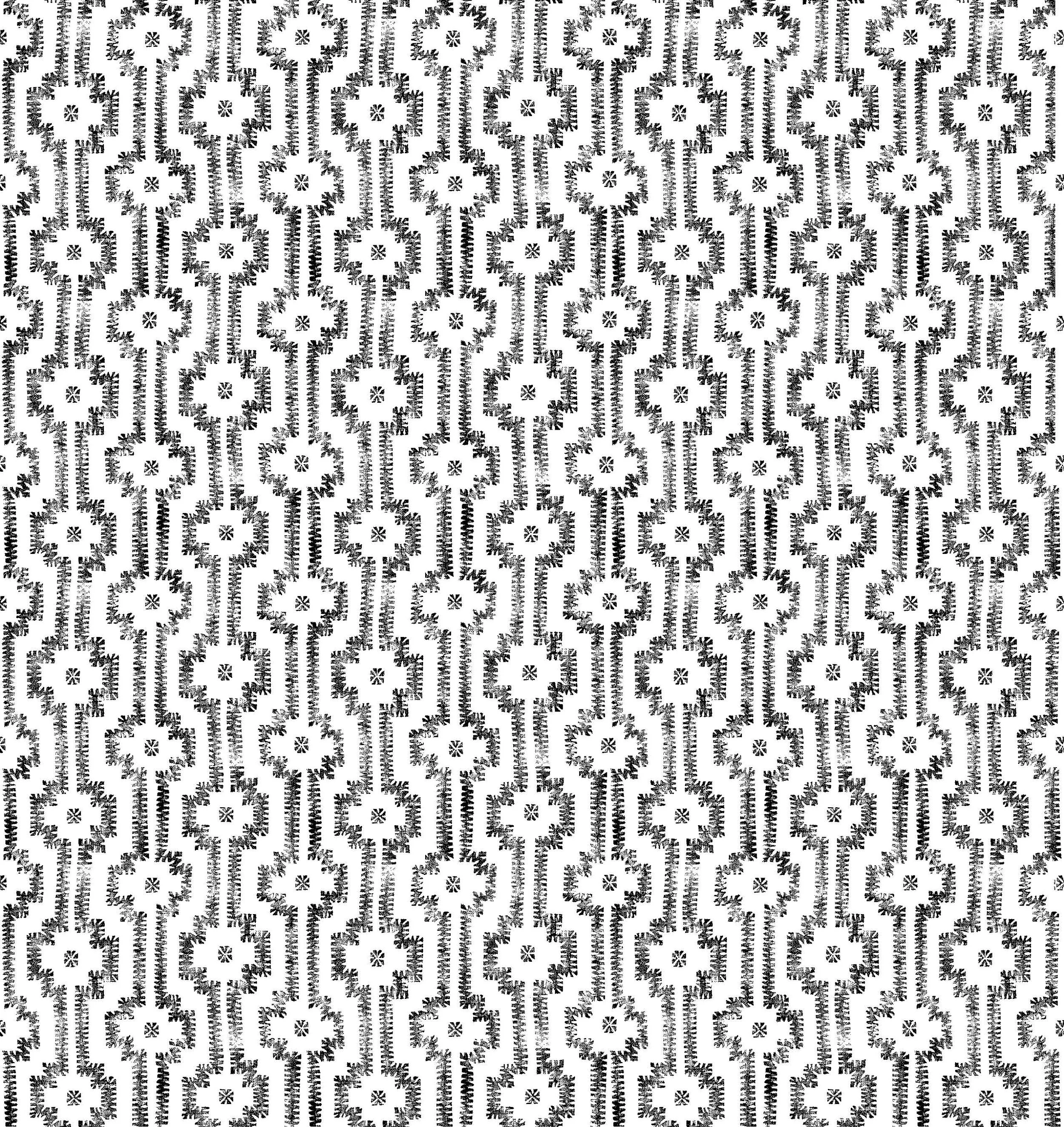 Shipibo artwork_b-w.jpg