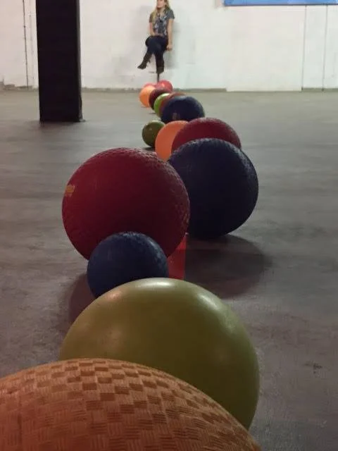 15036272_624637364375116_6488895790631649090_n.jpg