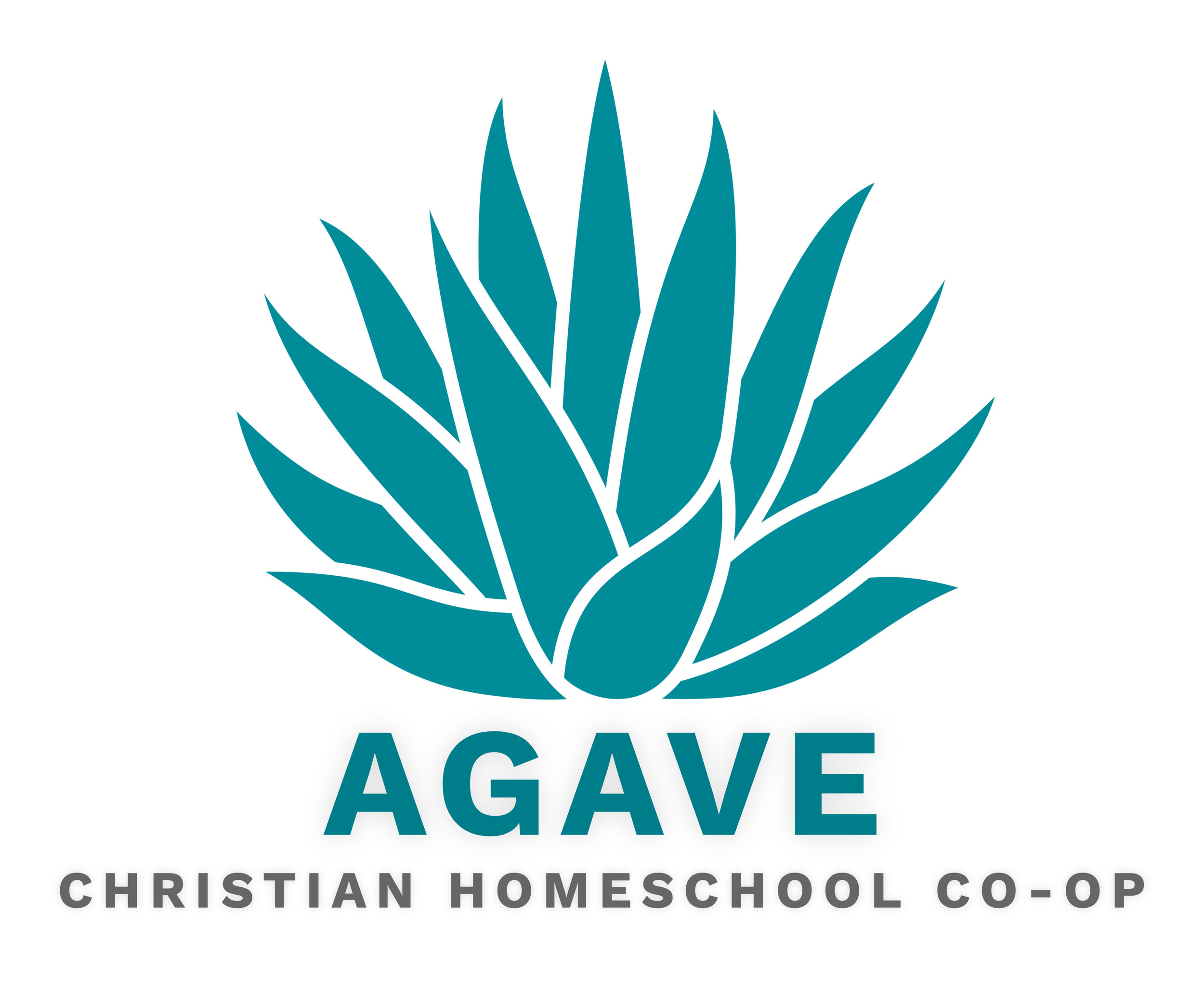Agave (1).jpg