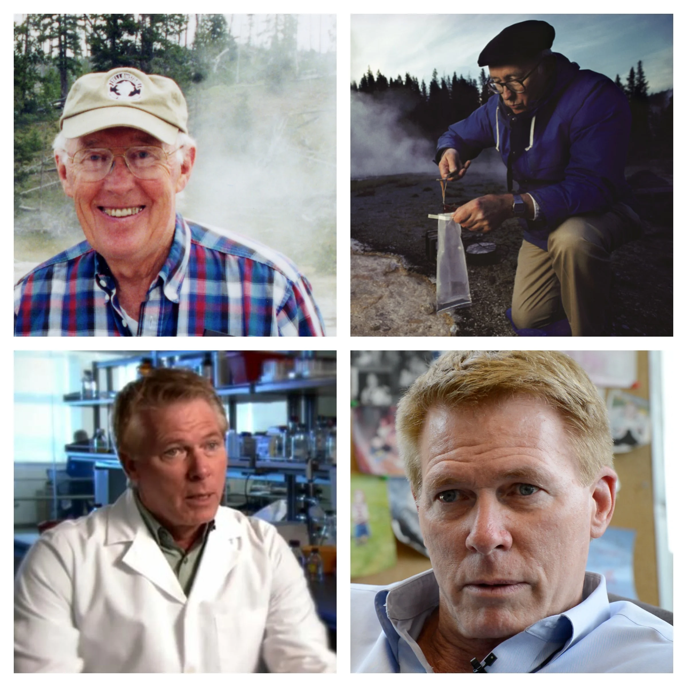 2013: Thermus Aquaticus