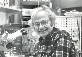 Dr. David Hubel