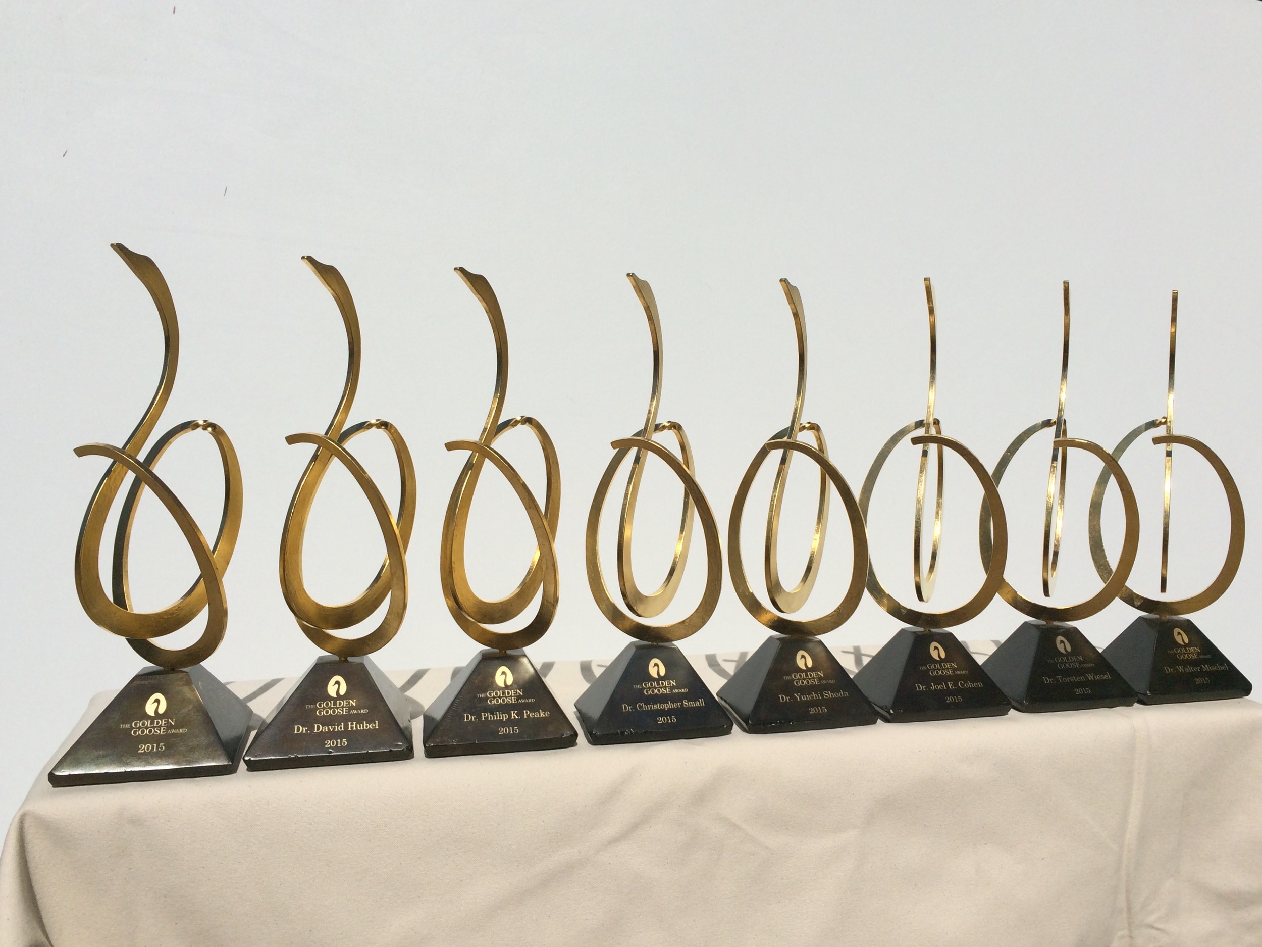 forstene Forfølge trimme Award Design — The Golden Goose Award